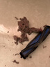龜牌（Turtle Wax）硬殼玻璃水0度汽車去油膜強(qiáng)力去污除蟲(chóng)膠鳥(niǎo)糞雨刮水通用2L*6瓶 曬單實(shí)拍圖