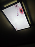 雷士照明led吸頂燈燈條長(zhǎng)條燈芯替換燈板三色變光客廳燈貼片燈帶 30W 三色調(diào)光 40cm*5條 曬單實(shí)拍圖