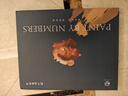 好久不見數(shù)字油畫diy風(fēng)景花卉手繪油畫填色客廳裝飾畫兒童手工畫掛畫 曬單實拍圖