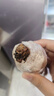 正宗洪湖蓮藕新鮮現(xiàn)挖糯米藕煲湯粉糯燉湯湖北特產(chǎn)九孔粉藕紅蓮藕 5斤 曬單實拍圖