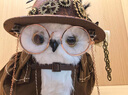 飾鹿熊北京環(huán)球影城代購哈利波特海德薇貓頭鷹雪信使站肩互動(dòng)聲控玩具正 蒸汽朋克貓頭鷹套裝 精心挑選/拆開(kāi)后不支持退貨 曬單實(shí)拍圖