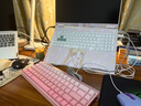 狼蛛（AULA）HERO 68HE磁軸鍵盤RT電競游戲客制化機(jī)械有線RGB燈效五層填充網(wǎng)頁驅(qū)動無畏契約8K回報(bào)率家用辦公 側(cè)刻【黑皇磁軸】粉色 曬單實(shí)拍圖