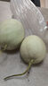 粵迎玉菇甜瓜冰淇淋香甜瓜當(dāng)季軟糯香甜山東水果綠肉當(dāng)季現(xiàn)貨應(yīng)季生鮮 5斤精選果【阿姨手挑】凈4.5斤 曬單實(shí)拍圖