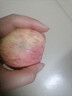櫻鮮煙臺(tái)紅富士蘋果新鮮當(dāng)季脆甜冰糖心水果時(shí)令水果禮盒裝整箱批發(fā) 【品質(zhì)溯源】5斤優(yōu)選果凈重4.5斤 精選中果【單果70-75mm】 曬單實(shí)拍圖