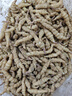 囧仙子螺絲菜新鮮寶塔菜地環(huán)甘露草石蠶地牯牛蔬菜現(xiàn)挖現(xiàn)發(fā) 地環(huán)菜 2斤 曬單實(shí)拍圖