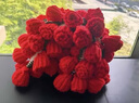 無印良品成品玫瑰花毛毯玫瑰花束毯子七夕節(jié)禮物送女友情人節(jié)520生日閨蜜 桑薇-紅色【愿這束永不凋謝的花  溫暖你整個四季】 毛毯直徑110cm【成品手工鉤織】 曬單實拍圖