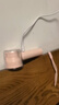 飛利浦（PHILIPS）風(fēng)寶手持風(fēng)扇16H長(cháng)續航100檔超高速大風(fēng)力USB充電便攜小風(fēng)扇戶(hù)外風(fēng)寶野餐電風(fēng)扇 ACR3242PPF 曬單實(shí)拍圖