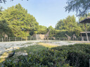 UNDER ARMOUR安德瑪快干短袖T恤男夏季輕薄透氣休閑健身運(yùn)動(dòng)跑步上衣半袖 曬單實(shí)拍圖
