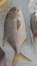 翔泰海南深海金鯧魚700g 2條 燒烤 火鍋 生鮮魚類 BAP認證 海鮮水產(chǎn) 曬單實拍圖
