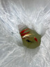 招財黃金金魚(yú)鯉魚(yú)冷水魚(yú)苗好養耐活淡水活魚(yú)魚(yú)苗錦鯉龍鳳批發(fā) 13-15黃金5條 曬單實(shí)拍圖