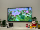 創(chuàng)維壁紙電視65A7E 65英寸超薄壁畫藝術(shù)mini led 智能平板液晶電視機(jī)65吋 國(guó)家補(bǔ)貼 以舊換新 曬單實(shí)拍圖