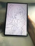 邦帛世Apple Pencil替換筆尖類紙膜專用蘋果改造針管筆尖Apple Pencil Pro筆尖蘋果一二代替換筆尖 蘋果筆尖套裝【3.5*2+4.0*2+原生*2】 曬單實拍圖