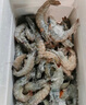 鯨口大開新鮮青島大蝦超大蝦凍蝦白蝦鮮活冷凍對(duì)蝦大號(hào)青蝦海鮮批發(fā) 16-18厘米鮮蝦速凍整箱 3斤(凈重) 曬單實(shí)拍圖