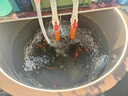 JJTOOP魚(yú)缸造景專用led防水燈帶超亮水下景觀裝飾古法缸12v24v自粘燈條 【2米-低壓防水】自然光4000K 曬單實(shí)拍圖