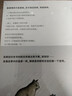 一只去找菩提的貓 9到99歲全年齡適讀的人生哲思繪本 獻給對生命懷有疑惑、努力尋找答案的你 臺版書(shū)名 走過(guò) 才知道你的存在平凡又特別 曬單實(shí)拍圖
