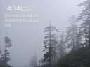 [中國藥材] 仙靈骨葆膠囊 0.5g*50粒/盒 5盒裝 曬單實(shí)拍圖