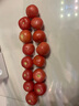疆域采虹正宗普羅旺斯西紅柿現(xiàn)摘新鮮沙瓤水果生吃西紅柿沙漠特產(chǎn)自然熟 甄選特級(jí)4.5斤自然熟 凈重約4斤 曬單實(shí)拍圖
