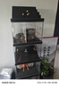 蔻絲（ColesHome）帶階梯透明樂(lè)高手辦展示柜盲盒收納架家用模型陳列柜玩具收納架子 曬單實(shí)拍圖