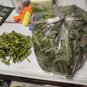 自種紅薯葉嫩尖新鮮食用番薯葉農(nóng)家時(shí)令蔬菜當(dāng)季紅薯葉新鮮 三斤紅薯葉 曬單實(shí)拍圖