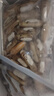 蟶子鮮活6斤野生大竹節(jié)海蟶子肉肥海鮮水產(chǎn)雙頭蟶子貝殼類海蟶子 2500g 買五斤囎一斤【實發(fā)6斤】 曬單實拍圖