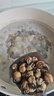 生蠔肉新鮮鮮活現(xiàn)剝冷凍大號牡蠣肉去殼純?nèi)夂ｕr純蠔仔肉海鮮水產(chǎn) 10斤裝精品生蠔肉   [大號]30-40粒/斤 曬單實拍圖