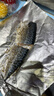 禧美海產(chǎn) 冷凍挪威青花魚片凈重2斤 獨立包裝2-4袋 去臟日料烤魚 海鮮 曬單實拍圖