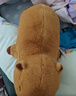 貝尚星 卡皮巴拉抱枕睡覺公仔毛絨玩具生日玩偶水豚娃娃畢業(yè)禮物女100cm 曬單實拍圖