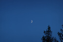 索尼（SONY）DSC-RX100M7G 黑卡數(shù)碼相機(jī) Vlog視頻手柄套裝（24-200mm鏡頭 4K視頻 RX100 VII/黑卡7） 曬單實(shí)拍圖