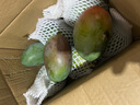 京鮮生 攀枝花凱特芒果 凈重8.5斤 單果405g+ 生鮮水果 源頭直發(fā) 曬單實(shí)拍圖