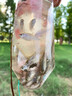抓魚(yú)神器捕魚(yú)小溪捉魚(yú)撈魚(yú)兒童戶(hù)外塑料抓小魚(yú)工具倒須抓魚(yú)瓶全套 大號(hào)抓魚(yú)瓶 +12米拉繩+2包餌料+地插 曬單實(shí)拍圖