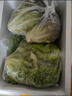 綠食者 新鮮球生菜500g 漢堡用西生菜西餐三明治沙拉蔬菜健康輕食食材 曬單實拍圖