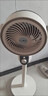 揚子（YANGZI）風(fēng)扇家用電風(fēng)扇落地扇空氣循環(huán)扇宿舍客廳臥室臺地兩用語(yǔ)音遙控電扇大風(fēng)力辦公室空調伴侶2025新款 米色機械款【臺地兩用+三檔調節+八字搖頭】 曬單實(shí)拍圖