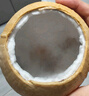 京地達(dá)泰國牛奶椰皇 10個(gè)單果580g+凈重11.5斤椰子新鮮水果源頭直發(fā)包郵 曬單實(shí)拍圖