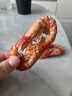 漁忘憂九節(jié)蝦干特大干蝦斑節(jié)對(duì)蝦烤蝦干即食大號(hào)孕婦零食海鮮特產(chǎn) 活烤大蝦王【約20只】1斤 曬單實(shí)拍圖