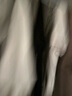 啄木鳥正肩u領(lǐng)短袖T恤女夏季款內(nèi)搭修身顯瘦簡約螺紋半袖上衣 白色 L 曬單實拍圖