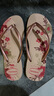 havaianas哈唯納Slim Organic II夾腳人字拖鞋夏沙灘鞋可外穿 新色6387-芭蕾玫瑰 37-38 巴西碼 曬單實拍圖
