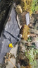 鄉村瓦磚房農村小院微景觀(guān)小擺件吸水石假山盆景庭院盆栽造景裝飾 A款鄉村瓦房擺件+迷你老翁釣魚(yú) 曬單實(shí)拍圖