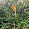 太陽(yáng)能殺蟲(chóng)燈農用果園蔬菜大棚魚(yú)塘茶園稻田誘蛾戶(hù)外頻振式滅蚊燈 接電款-單燈藍紫光波20W 曬單實(shí)拍圖