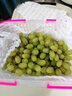 妙馨思茶包袋中藥袋調(diào)料包過濾袋煲湯袋調(diào)料袋大料包茶葉包一次性煎藥袋 曬單實拍圖