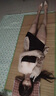 久愛(ài)（jiuai）男用款充氣娃娃可插入全身玩偶真人版美女娃娃二次元男士解性用品 經(jīng)典款1【四交+精致頭部】+情趣禮包 曬單實(shí)拍圖