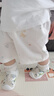 乖奇熊嬰兒短袖短褲分體套裝夏季薄款寶寶純棉居家衣服褲子兩件套兒童T 曬單實拍圖