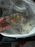 舟山梭子蟹鮮活特大野生大螃蟹新鮮冷凍海鮮水產(chǎn)海蟹飛蟹白蟹順豐 3-5兩/只【3斤 當(dāng)季船供】 曬單實(shí)拍圖