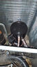 SANYO松下三洋壓縮機(jī)5匹6匹10匹12匹C-SB373H8A C-SC753H8H C-SC903H8H [5匹R22]C-SBX180H38C 曬單實(shí)拍圖