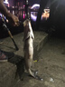 禧瑪諾機械師MH實(shí)心慢搖鐵板船釣竿岸投海釣竿碳素近海船釣輕型快抽慢搖鐵板竿 1.91米 直柄（餌重100-350g) 曬單實(shí)拍圖