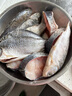漁水依微山湖原生態(tài)鮮活大鯽魚淡水新鮮小土鯽魚鯽瓜子燉湯孕婦滋補河鯽 中號鯽魚（每斤4-5條） 4斤 曬單實拍圖
