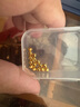 行金銀中黃金吊墜 足金999蹦迪珠DIY項鏈吊墜 菱形珠編繩掛墜送禮生日禮物 蹦迪珠吊墜（多顆）克重多退少補 約0.9克 曬單實拍圖