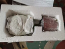 雅韻閣金枝玉葉盆栽造型老樁罕見多肉植物稀有品種大株肉肉花卉新款盆景 A級金枝玉葉【T豎米色瓷盆】棒棒糖造型 含盆 曬單實拍圖
