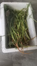 順豐包郵茴香菜新鮮茴香苗現(xiàn)摘頭茬葷香嫩葉回香小茴香餃子餡蔬菜 茴香帶根2斤 曬單實拍圖