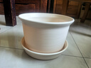 愛(ài)麗思花盆 加厚陽(yáng)臺花卉盆栽植物綠蘿月季梔子茉莉花種植盆塑料花盆 9號米色-口徑27.8cm 單花盆【1個(gè)裝】 曬單實(shí)拍圖