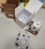 北鼎（Buydeem）燒水壺電熱水壺 家用熱水壺電水壺 全自動(dòng)斷電大容量燒水器 煮水壺304不銹鋼 1.7L 【雪地白】K640C 曬單實(shí)拍圖